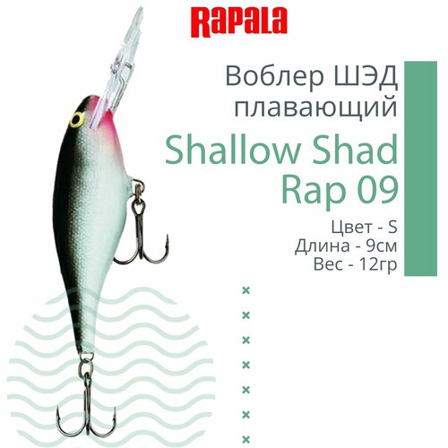Shallow Shad Rap SSR09
