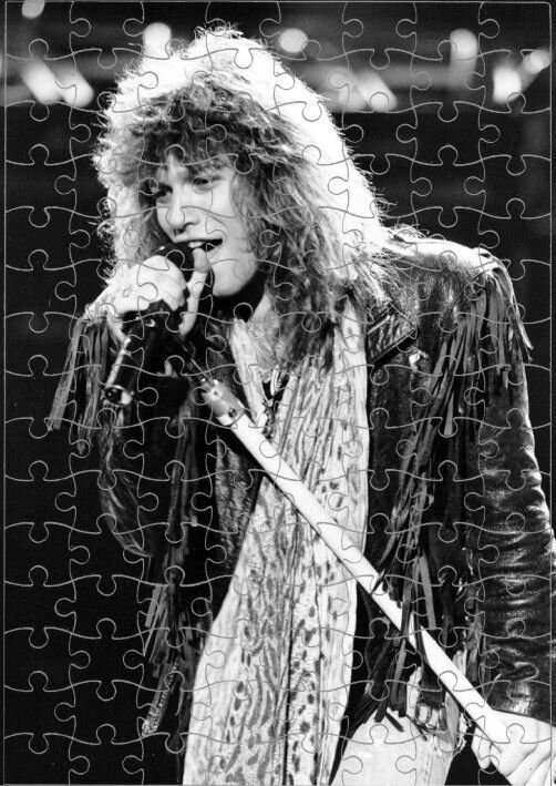 Пазл Bon Jovi, Бон Джови №1, А3