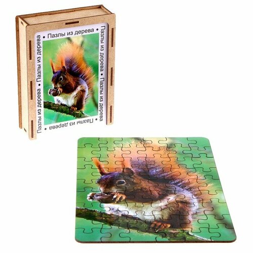 Пазл серия фантазия «Белочка», 54 детали, размер — 28 × 18,5 см