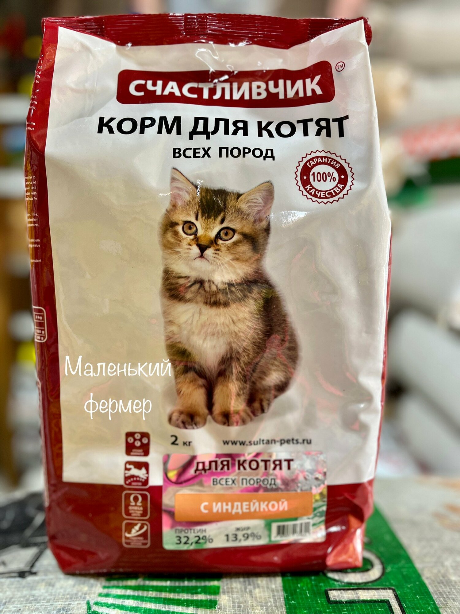 Котята