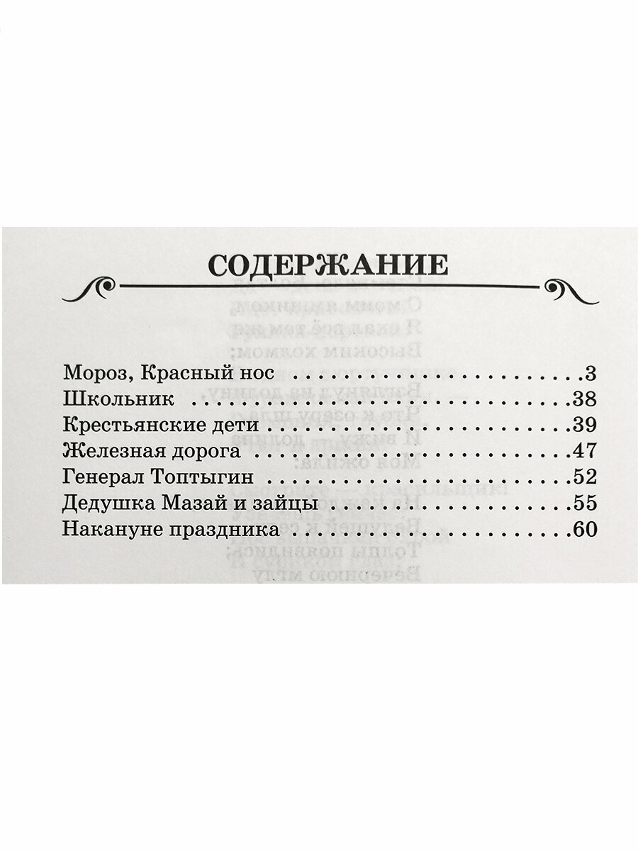 Поэмы и стихи/БШ (Некрасов Николай Алексеевич) - фото №5