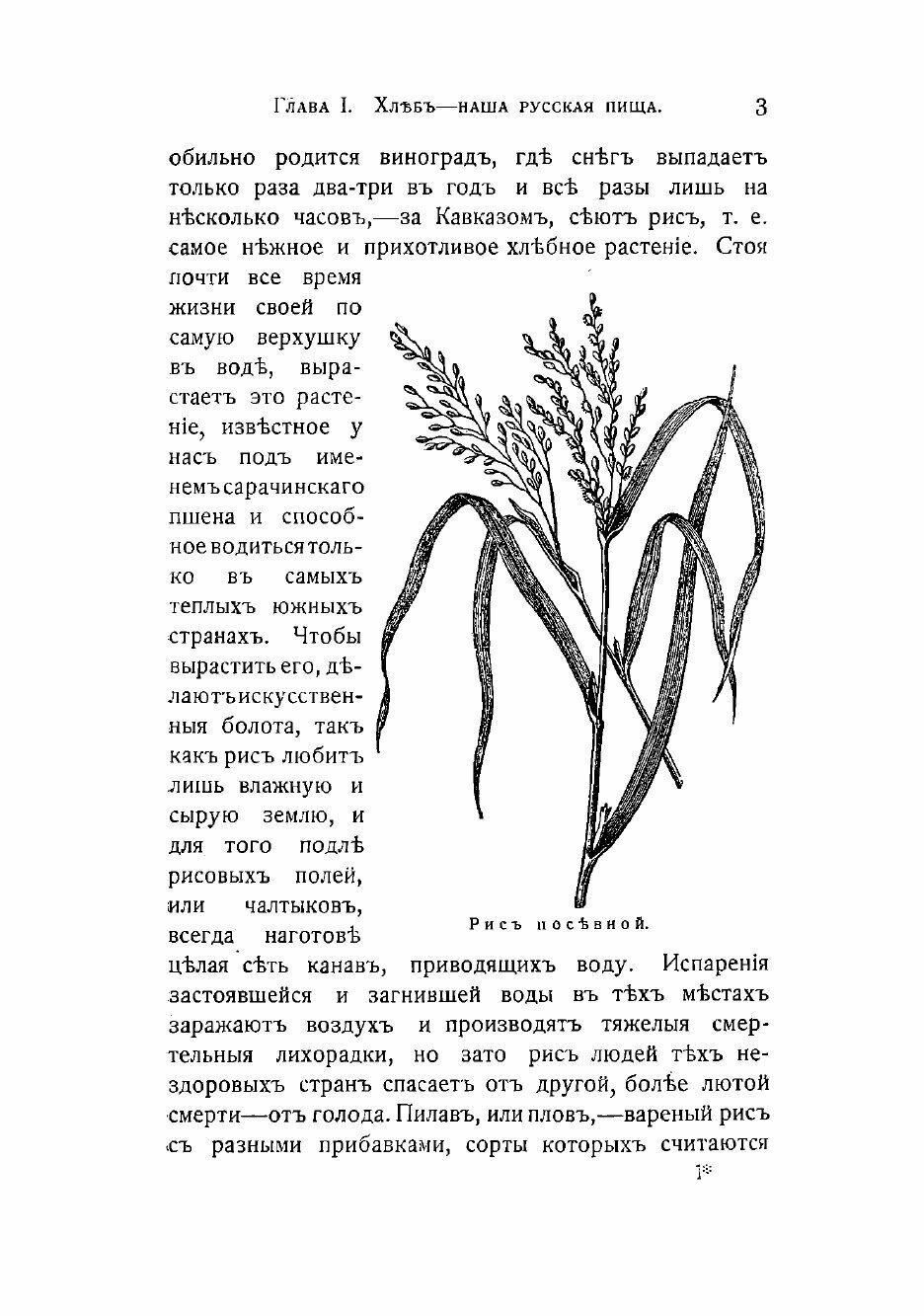 Книга Куль хлеба и его похождения, рассказанные С. Максимовым - фото №5