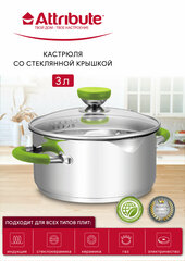 Кастрюля с крышкой 20х11.5см 3л LIME