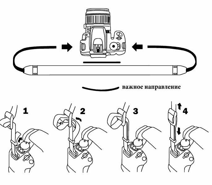 Ремень Fujimi FANS-EOS, универсальный, трикотажный, с надписью