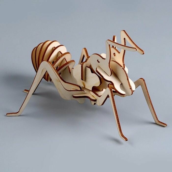 3D пазл Юный гений: Собери муравья