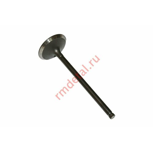 Клапан впускной 31мм 21040100601 Тайга/РМ 800/Odes (0120361)