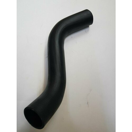 Шланг (патрубок) радиатора отводящий нижний Г52