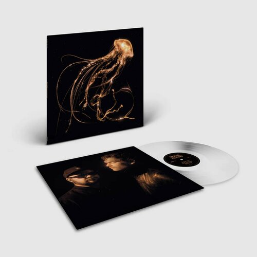 ROYAL BLOOD - BACK TO THE WATER BELLOW (LP clear) виниловая пластинка