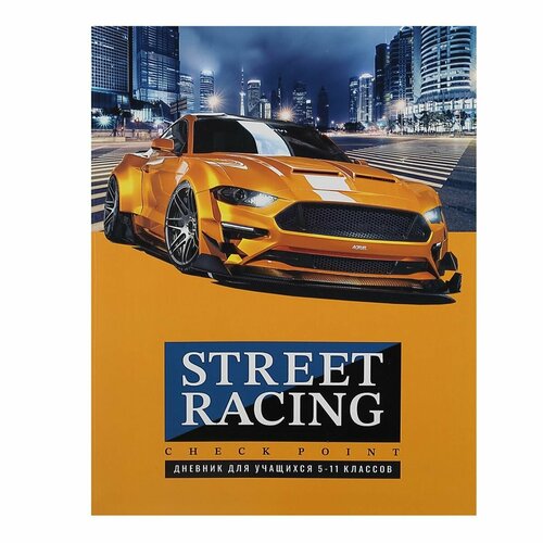 Дневник 5-11 класс, для мальчиков, интегральная Street racing БиДжи