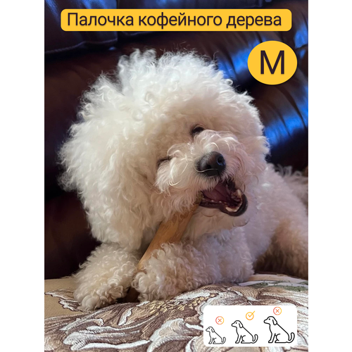 Игрушка для собак - палочка кофейного дерева M/ Жевательное лакомство для чистки и здоровья зубов