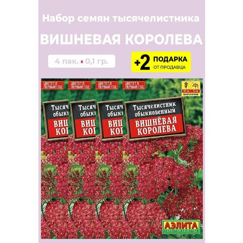 Семена Тысячелистник Вишневая королева, 4 упаковки + 2 Подарка