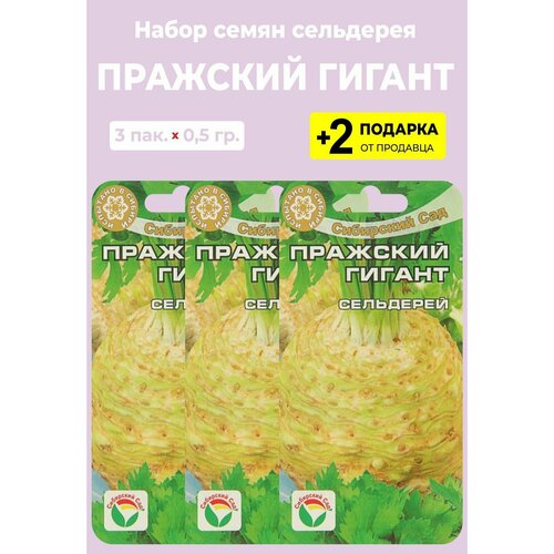 Семена Сельдерей 