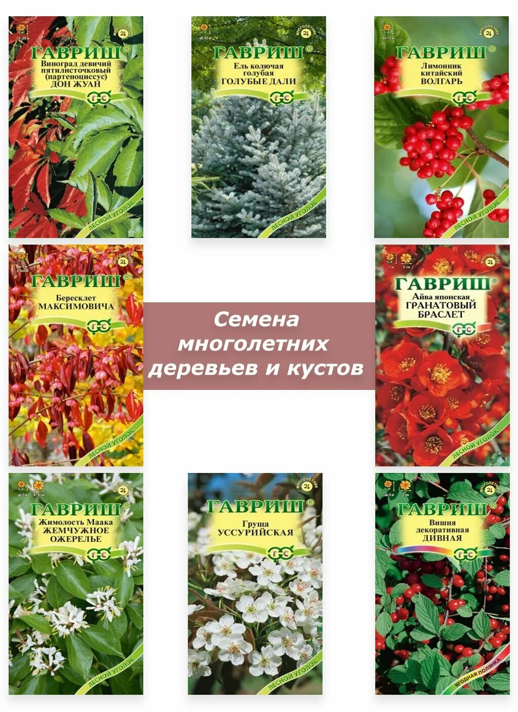 Семена деревьев и кустов