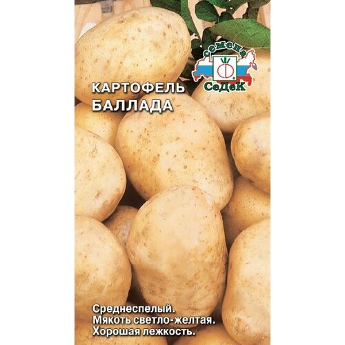 Картофель Седек Баллада 0,02г семена картофель баллада 4 упаковки 2 подарка от продавца