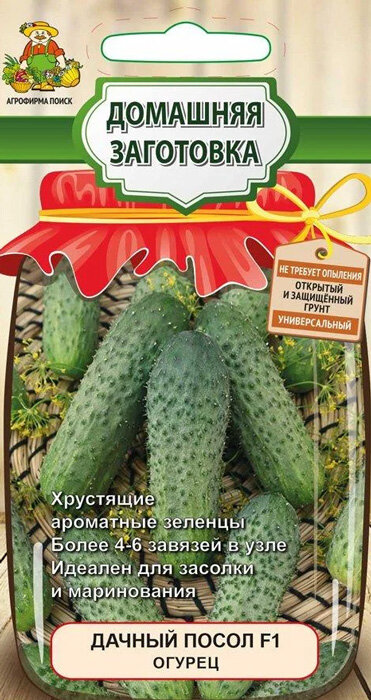 Огурец 