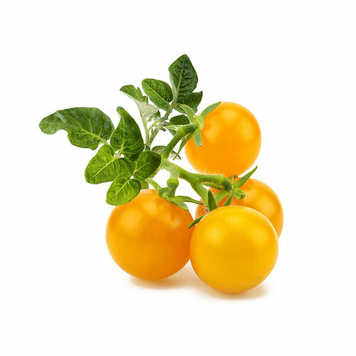 Click And Grow Комплект картриджей Click And Grow Yellow Mini Tomato Refill 3 шт. для умного сада Click And Grow желтый мини-томат