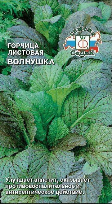 Семена горчицы листовой 