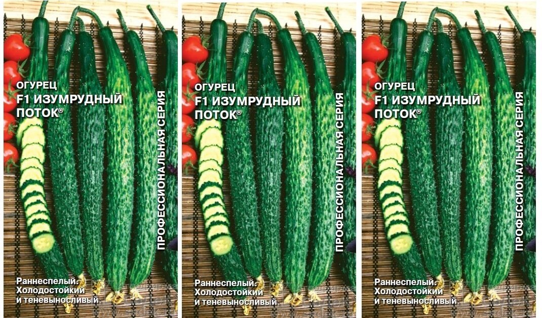 Семена Огурец "Седек" Изумрудный поток F1 0,2г (набор из 3 шт)