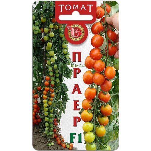 Семена Томат Праер F1 24 шт (семян) (Биотехника. Семена из Голландии) , 3 пакетика * 8 шт(семян)