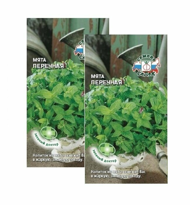 Семена Мята Перечная 01 г (Седек)  2 пакетика * 005 г