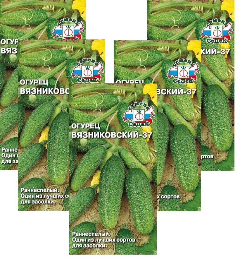 Семена Огурец Вязниковский-37 05 г (СеДеК)  5 пакетиков * 05 г