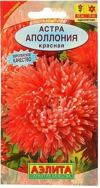 Семена астры Аэлита 