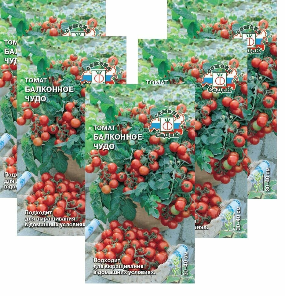 Семена Томат Балконное Чудо 01 г (СеДеК)  5 пакетиков * 01 г