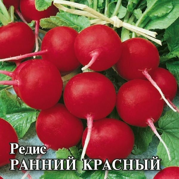 Семена Гавриш/Семена для фермера Редис Ранний красный 50 грамм в наборе