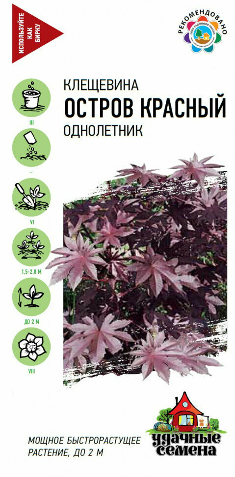 Семена Клещевина Остров Красный 5шт Удачные семена 10 упаковок