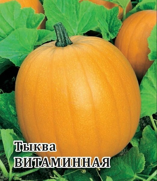 Семена Тыква мускатная Витаминная 25г Гавриш Фермерское подворье 5 упаковок