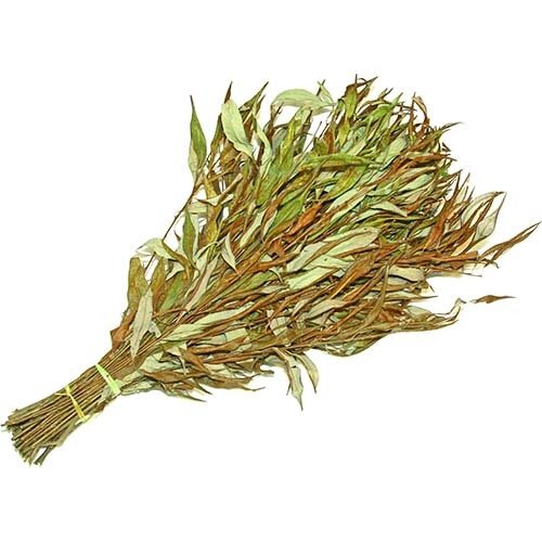 фото Веник ивовый