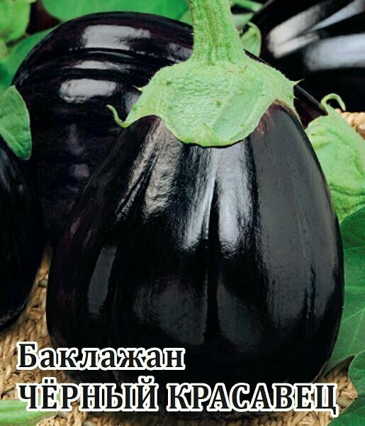 Баклажан Черный красавец 25 грамм Гавриш Семена для фермера
