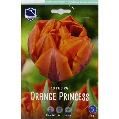 Тюльпан Оранж Принцесс(Orange Princess), 10 шт