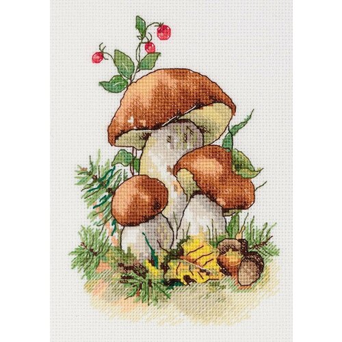 Набор для вышивания Klart 8-516 Белые грибы
