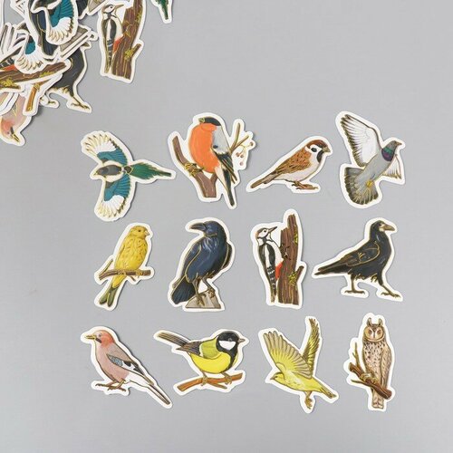 Наклейки для творчества Городские и лесные птицы тиснение золото набор 48 шт 9х7х0,8 см городские птицы дидактические карточки