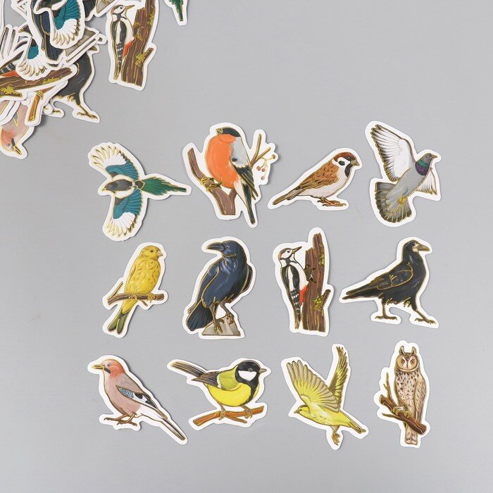 Арт Узор Наклейки для творчества "Городские и лесные птицы" тиснение золото набор 48 шт 9х7х0,8 см