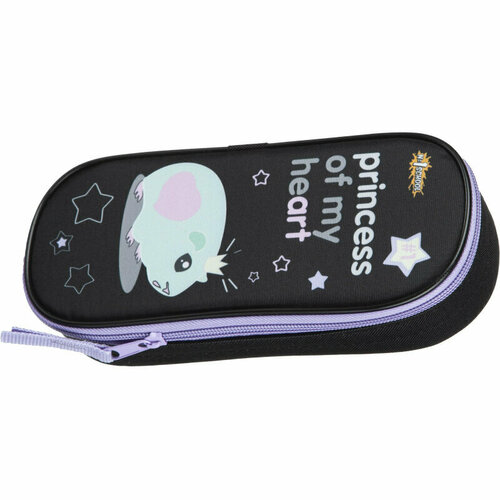 Пенал 1School Princess ткань 220х90х50 мм ПМК 37-20 1716462 755₽