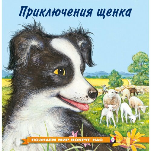 Познаём мир вокруг нас «Приключения щенка», 16 стр. фламинго познаём мир вокруг нас приключения щенка 16 стр