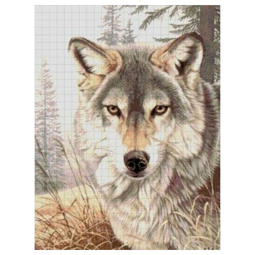 Волчица (взгляд волка) 32-2708-НВ