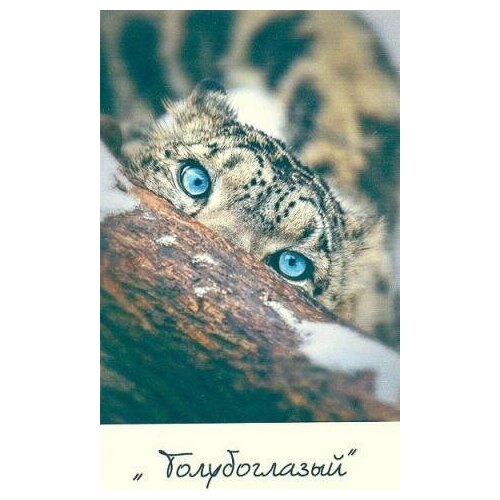 Голубоглазый 32-2668-НГ