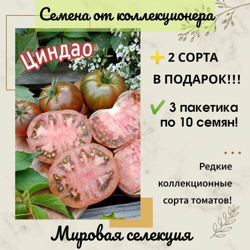 Томат Циндао, Китай, коллекционный сорт