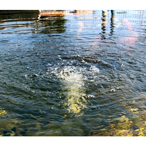 Компрессор мембранный 40лмин для пруда и септика 717000₽