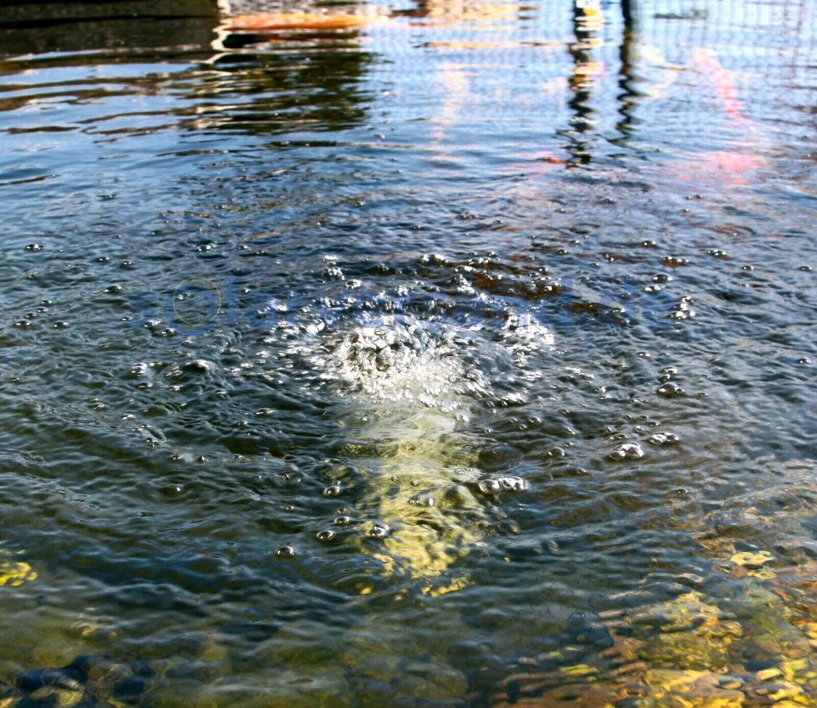 Компрессор аэратор SES-40 мембранный для пруда, септика и аквариума, 40 л/мин — фото 1