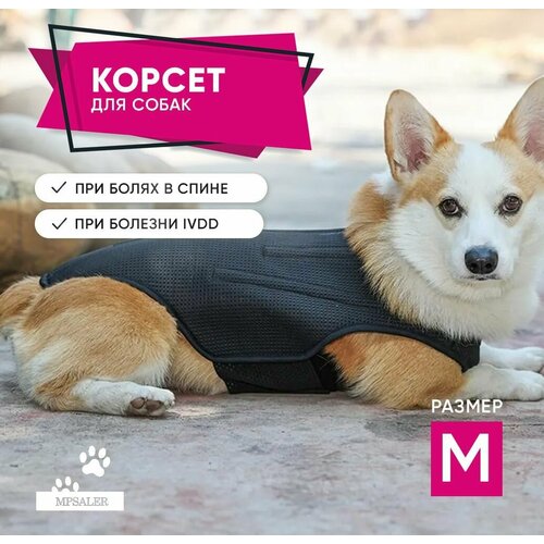 Корсет для спины собаки при болезни межпозвоночных дисков (IVDD). Восстановление и реабилитация домашних животных, обезболивающий пояс для спины. Размер M