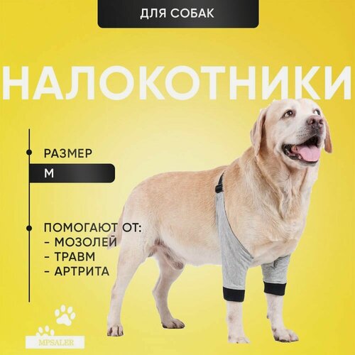 Изображение товара Налокотники для собак, от мозолей. Наколенники. Размер M.