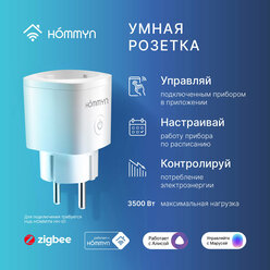 Розетка HOMMYN RKNZ01, защита от перенапряжения, для умного дома