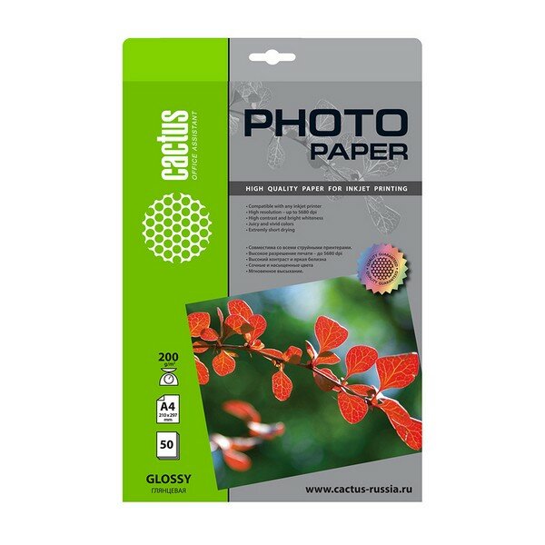 Фотобумага Cactus CS-GA420050 A4/200г/м2/50л./белый глянцевое для струйной печати — фото 5