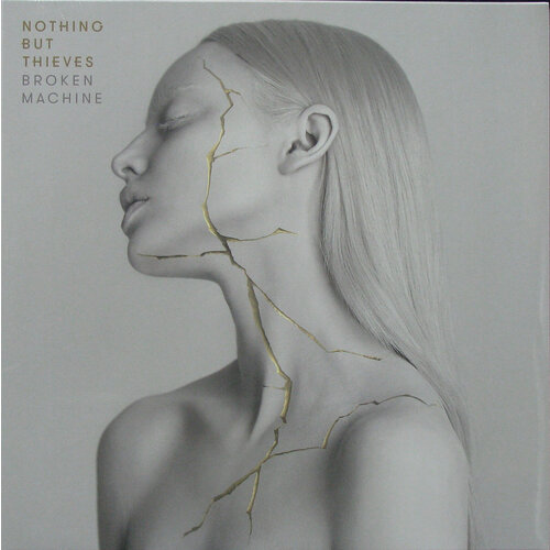 NOTHING BUT THIEVES - Broken machine (LP) виниловая пластинка