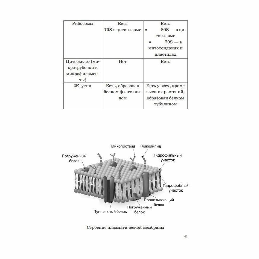 ОГЭ. Биология. Новый полный справочник для подготовки к ОГЭ - фото №11