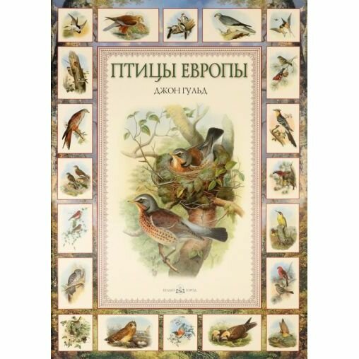 Книга Птицы Европы (Гульд Джон) - фото №7